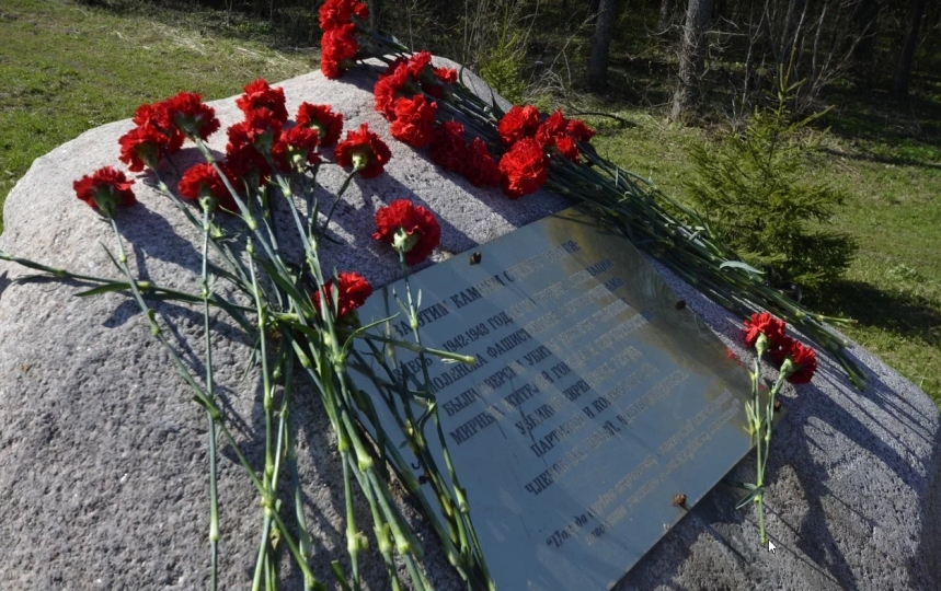 Белорусы города Смоленска на митинге в Вязовеньках